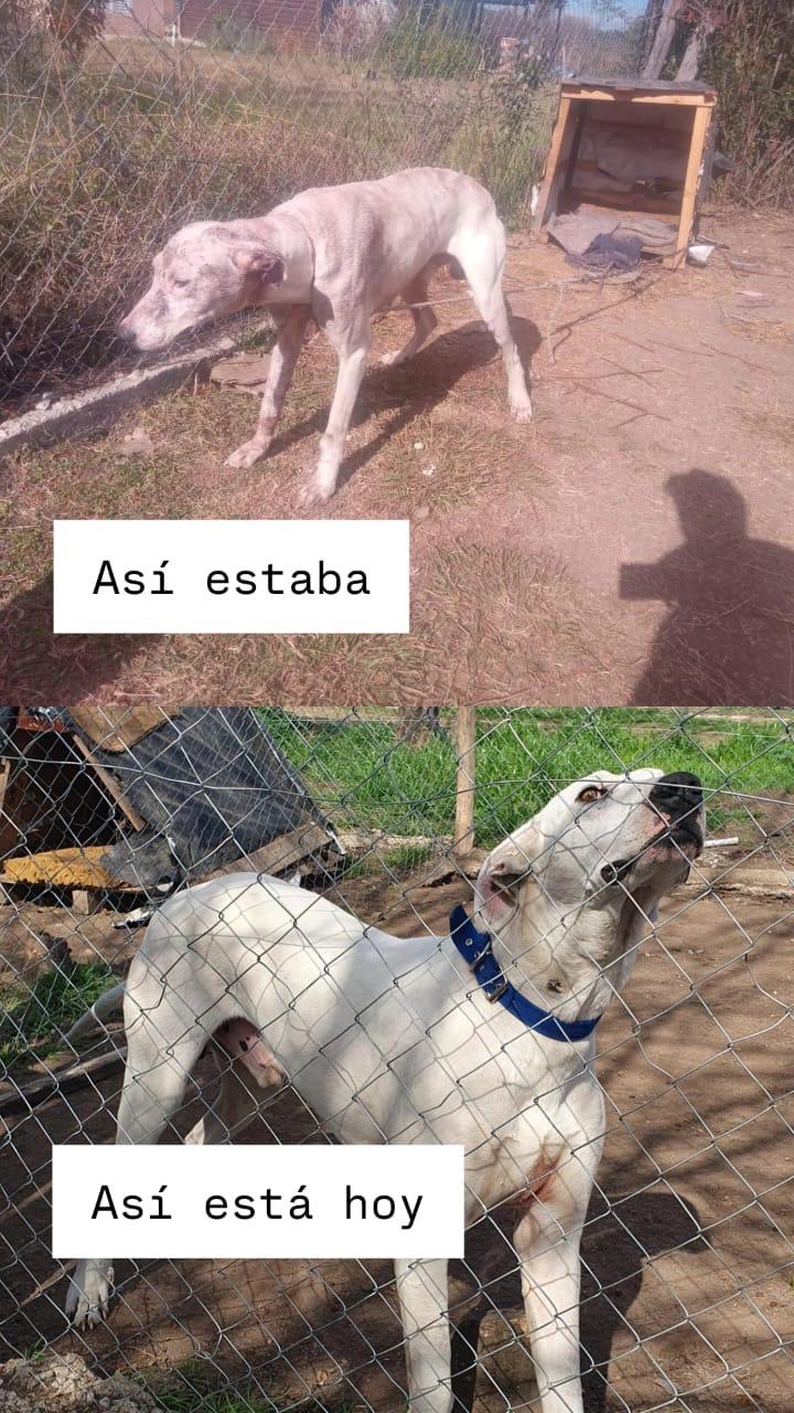 Imagen principal