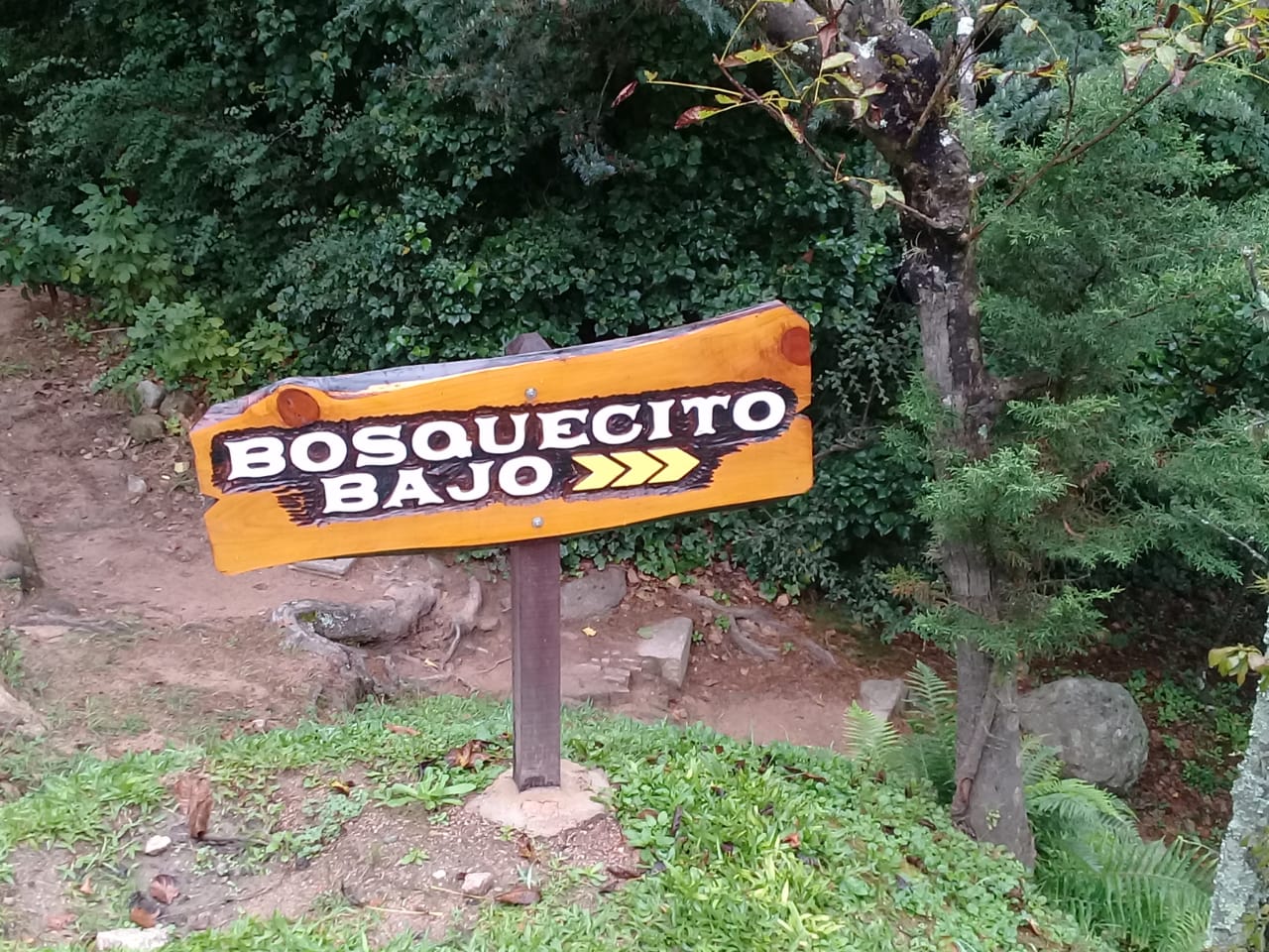 Imagen adicional
