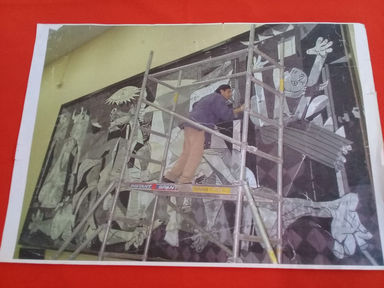 Imagen adicional