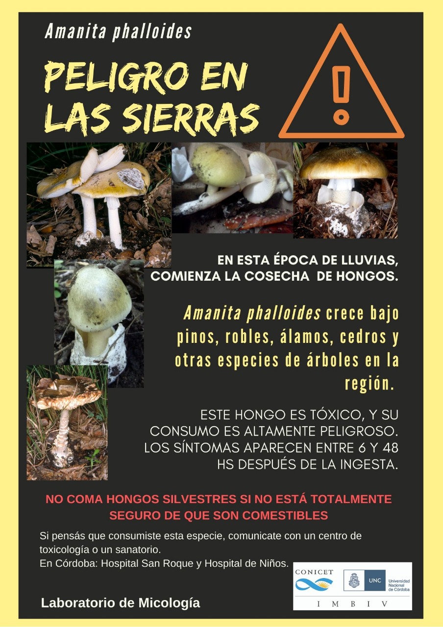 Imagen adicional