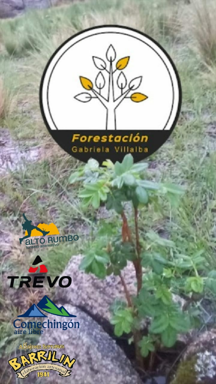 Imagen adicional