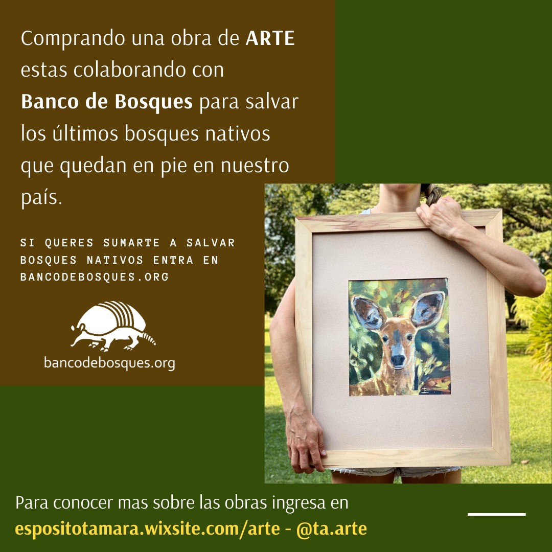 Imagen adicional