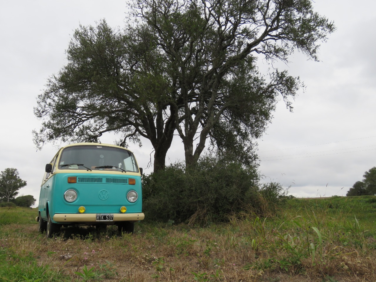 Imagen adicional