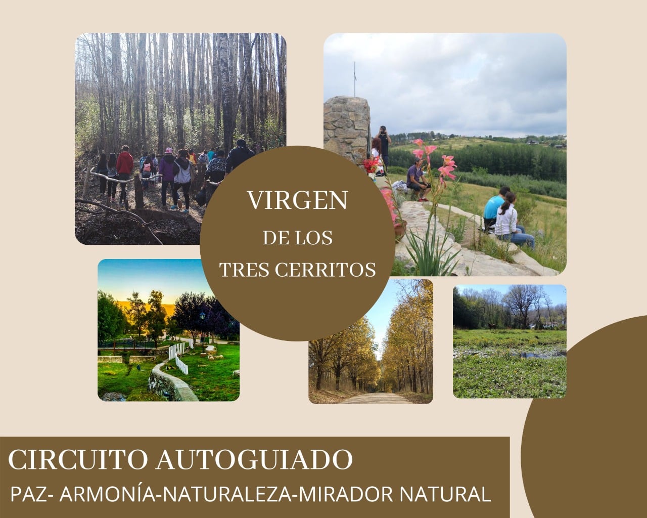 Imagen adicional