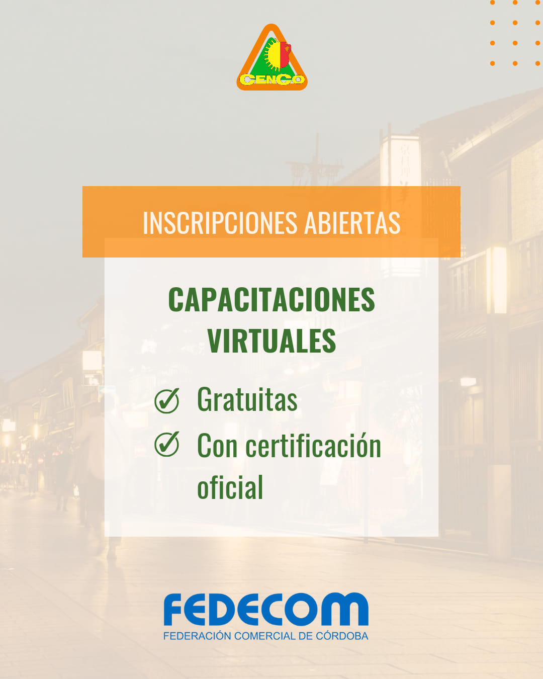 Imagen adicional