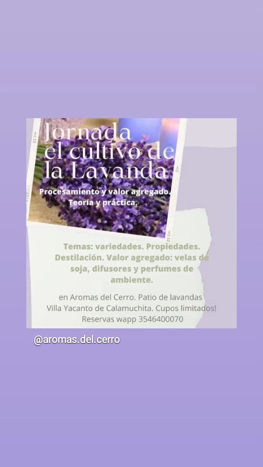 Imagen adicional