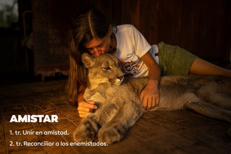 Imagen adicional