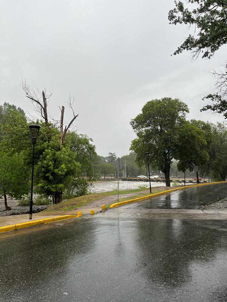 Imagen adicional