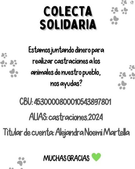 Imagen adicional