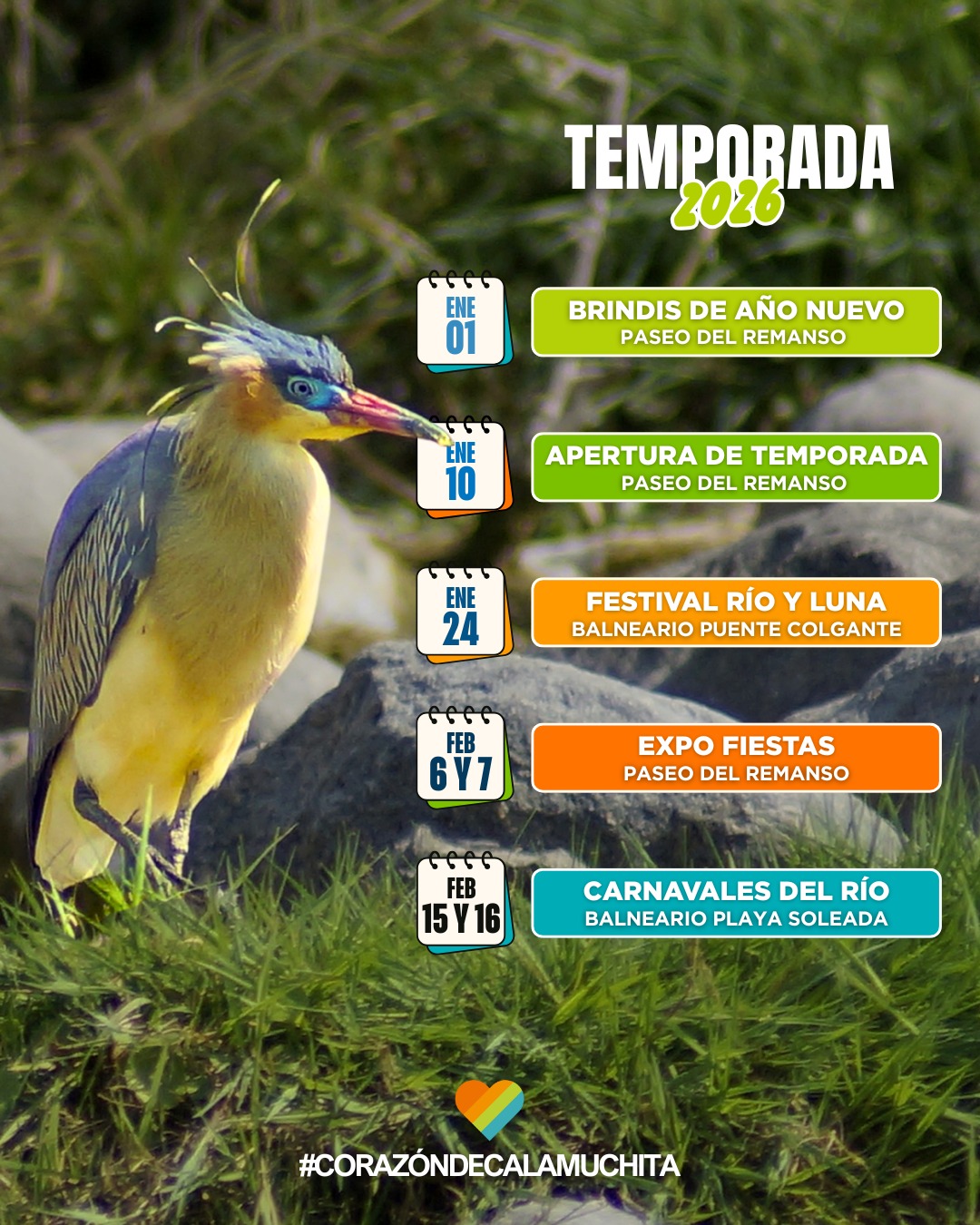 Imagen adicional
